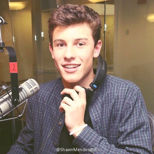 shawn mendes