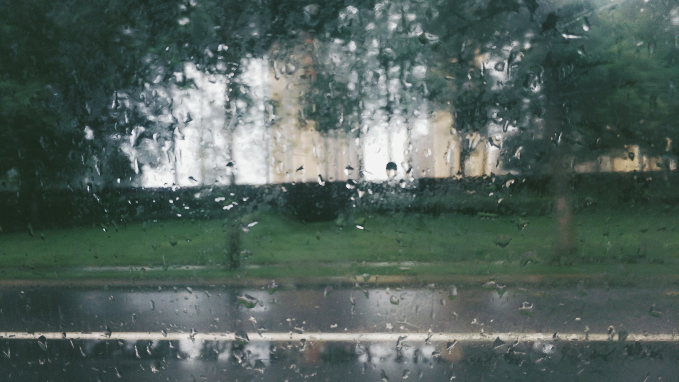 随拍雨天朦胧风