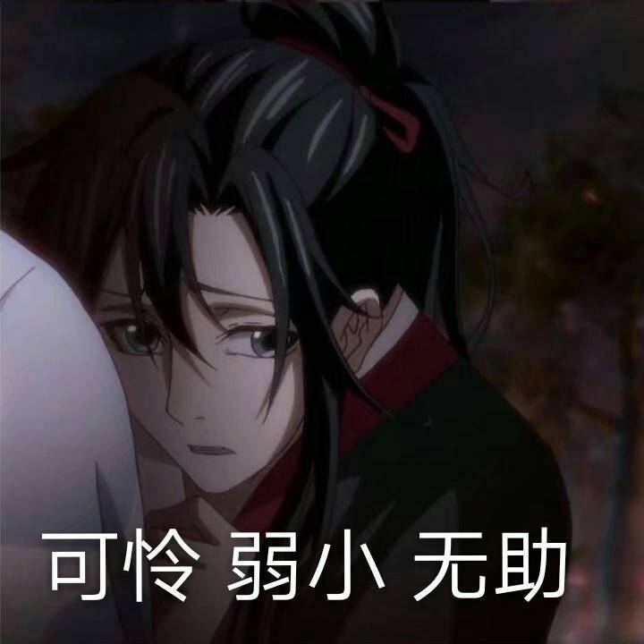 魔道祖师 魏无羡 表情包