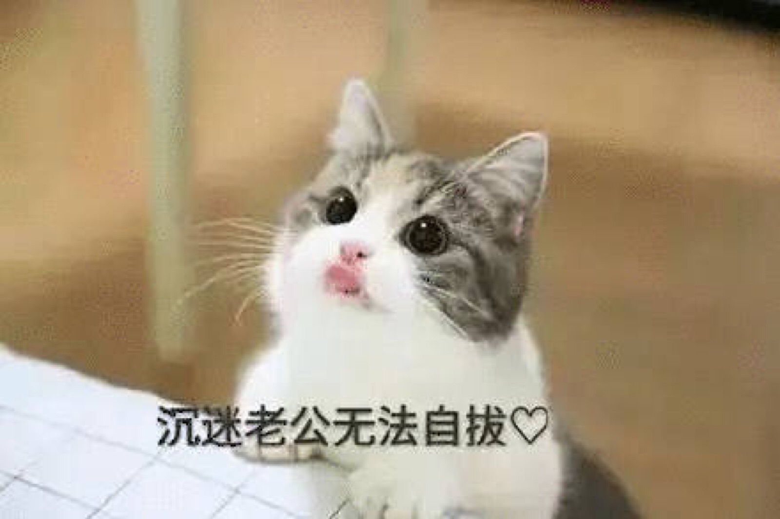 情侣表情包