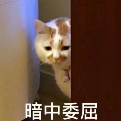 可爱猫咪表情包