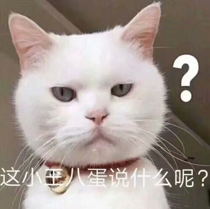 可爱猫咪小表情包