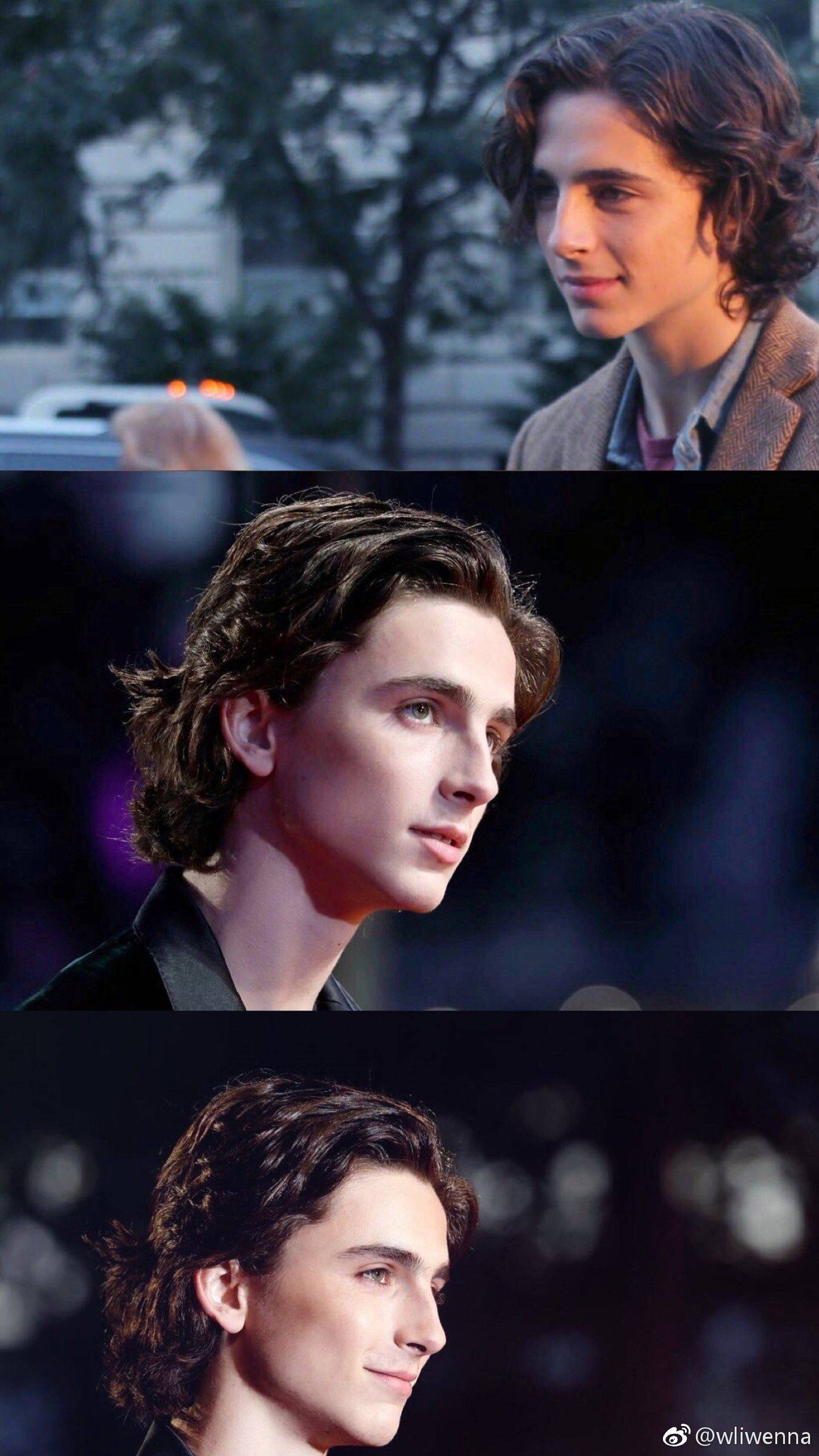 甜茶timothee