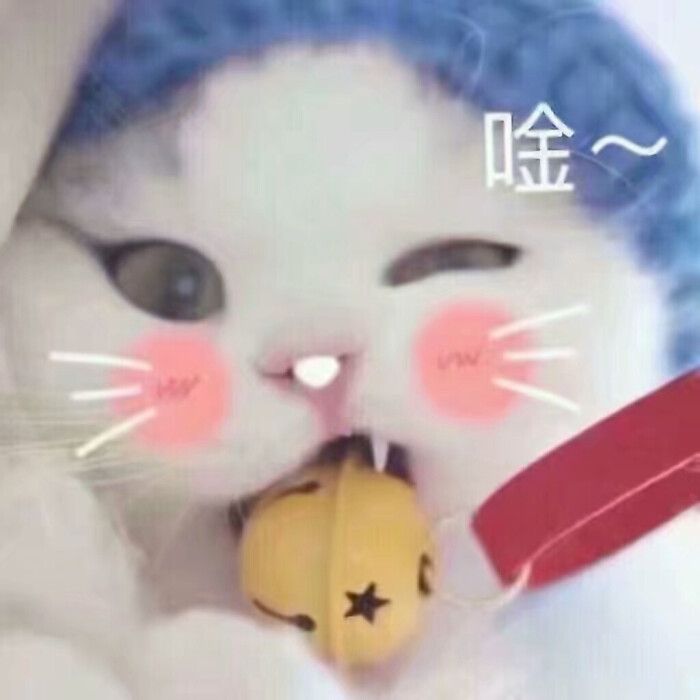 可爱 萌萌哒表情包