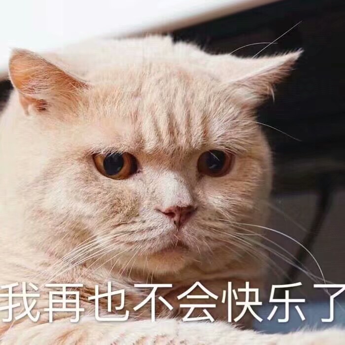 表情包是认真的的.
