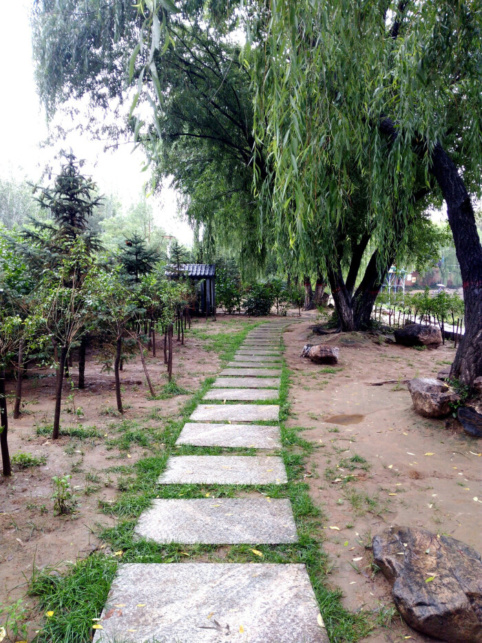 雨后小路静悄悄