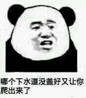 怼人表情包