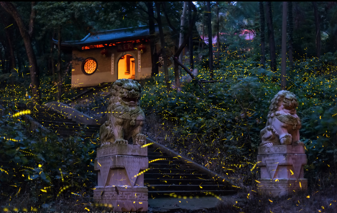 兜率寺 古刹流萤