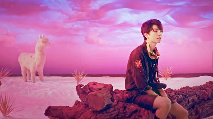 、我想你 我的木头脑袋 缱绻目光 心之所想 …-