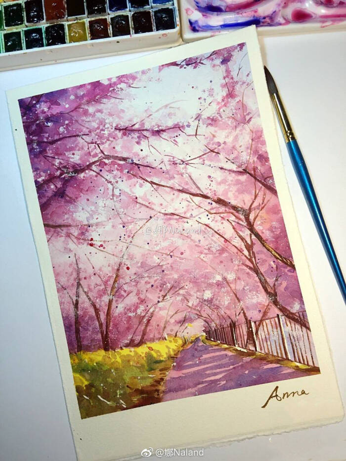 水彩插画浪漫樱花季,炸裂少女心