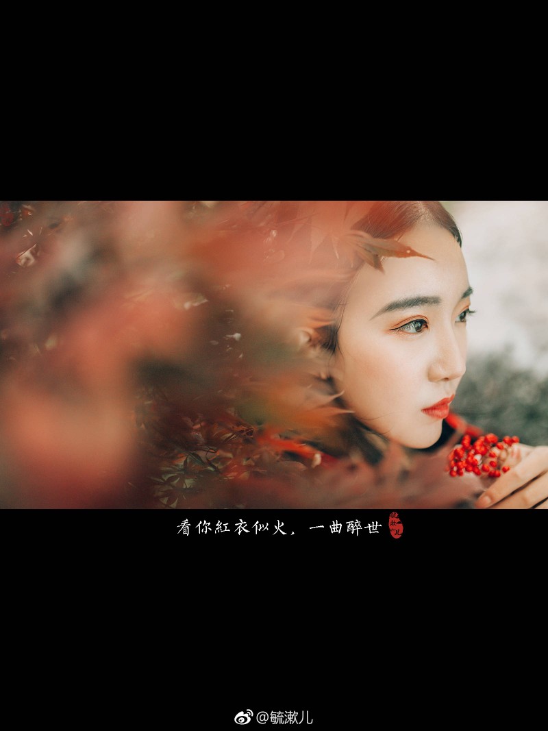 秋风萧瑟,需尝遍世间,观百态而生,看你红衣似火,一曲醉世.