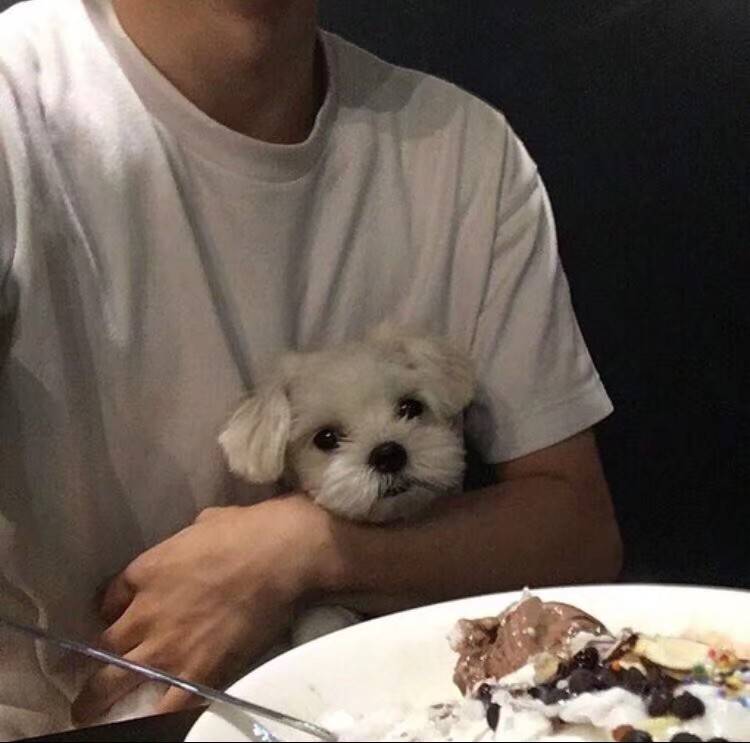 优质男头.