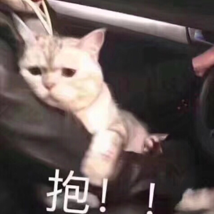 情侣表情包