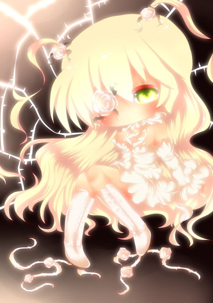 rozen maiden [蔷薇少女系列真正的第七人偶 雪华绮晶]