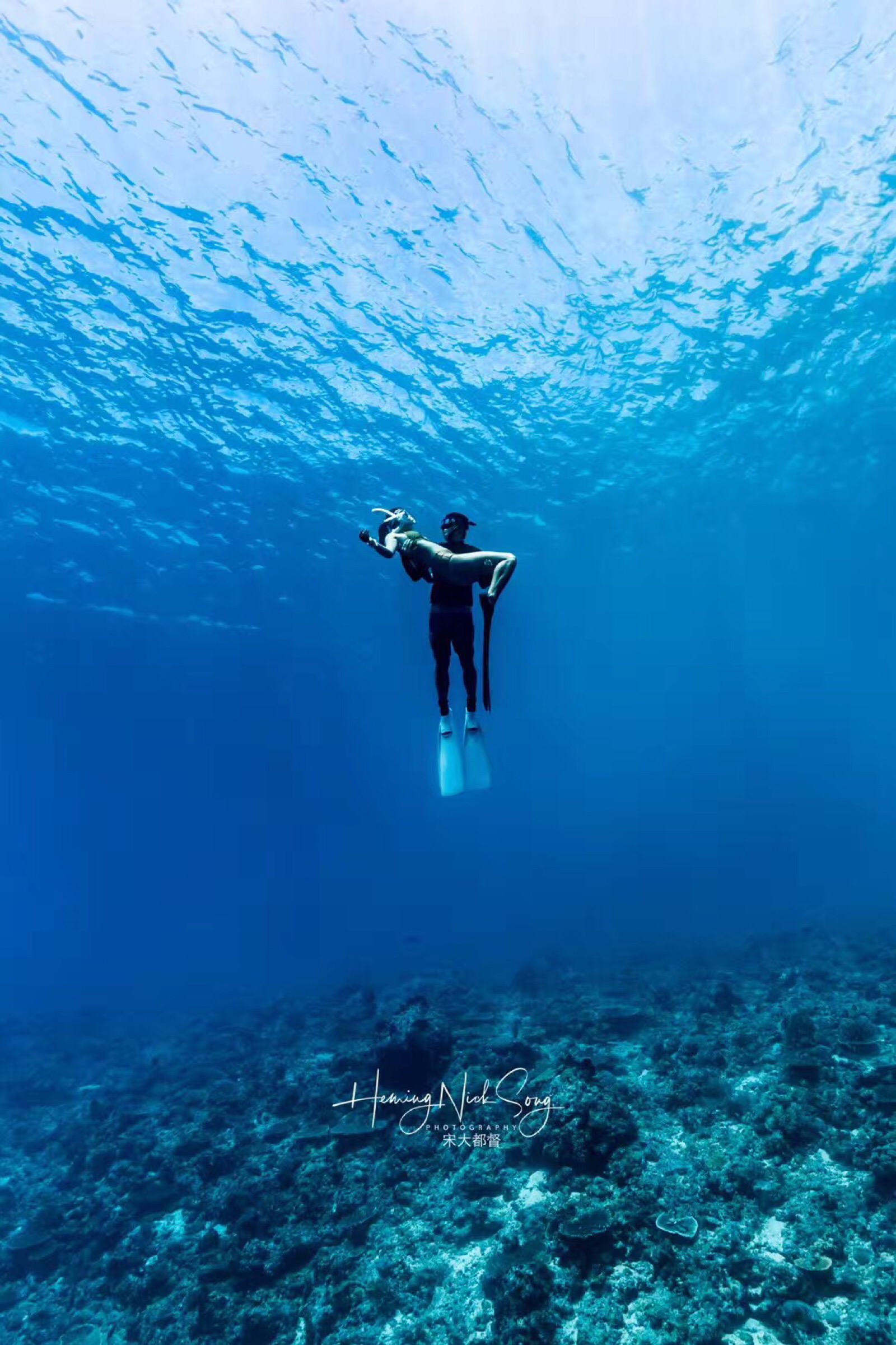 看了些照片,想去考潜水证,想去蔚蓝深海里孤独的漂浮着