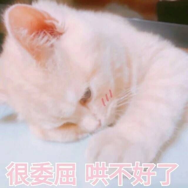 人家就想粘着你嘛(>ω *)