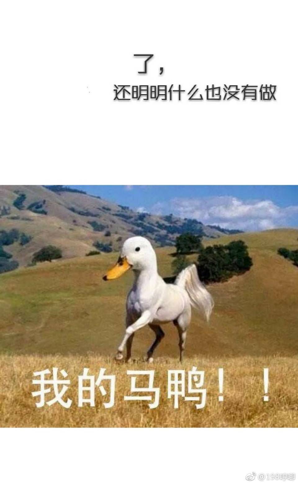 oppo搞怪壁纸