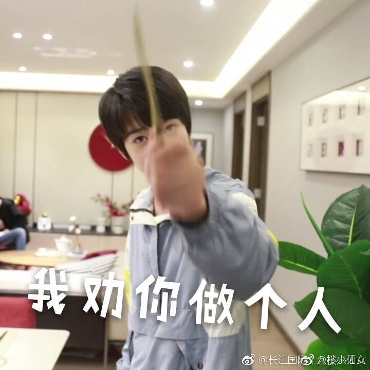 tf家族 表情包