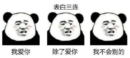 撩妹表情包 我爱你 表白