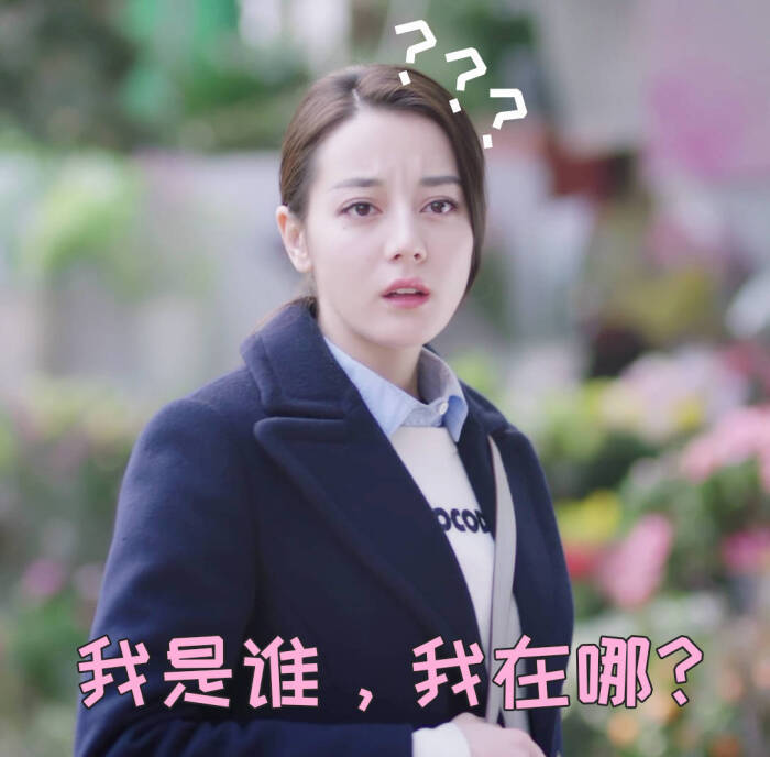迪丽热巴表情包