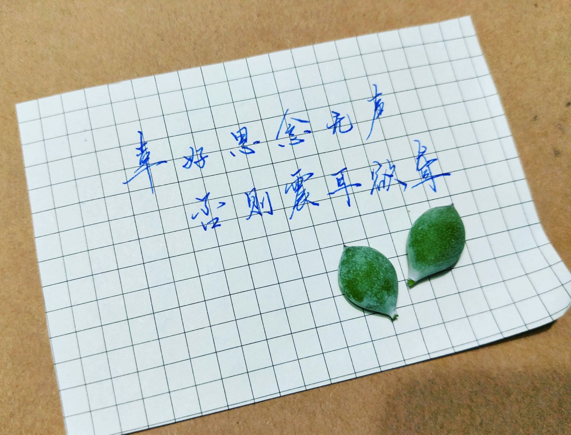 幸好思念无声,否则震耳欲聋.