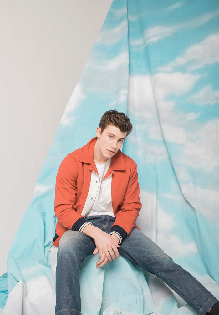 shawn mendes