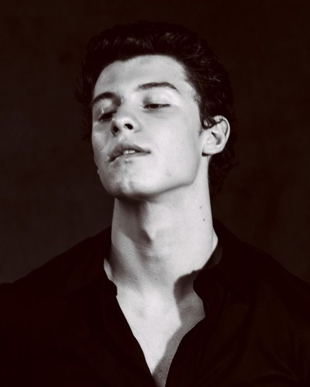 shawn mendes