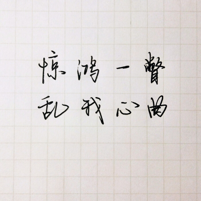 "惊鸿一瞥