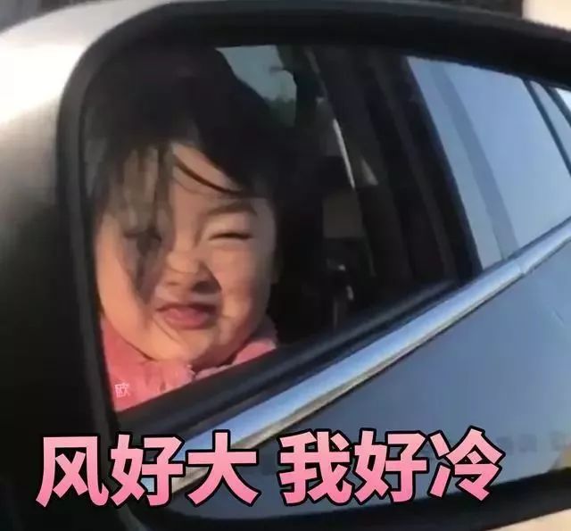表情包 权律二