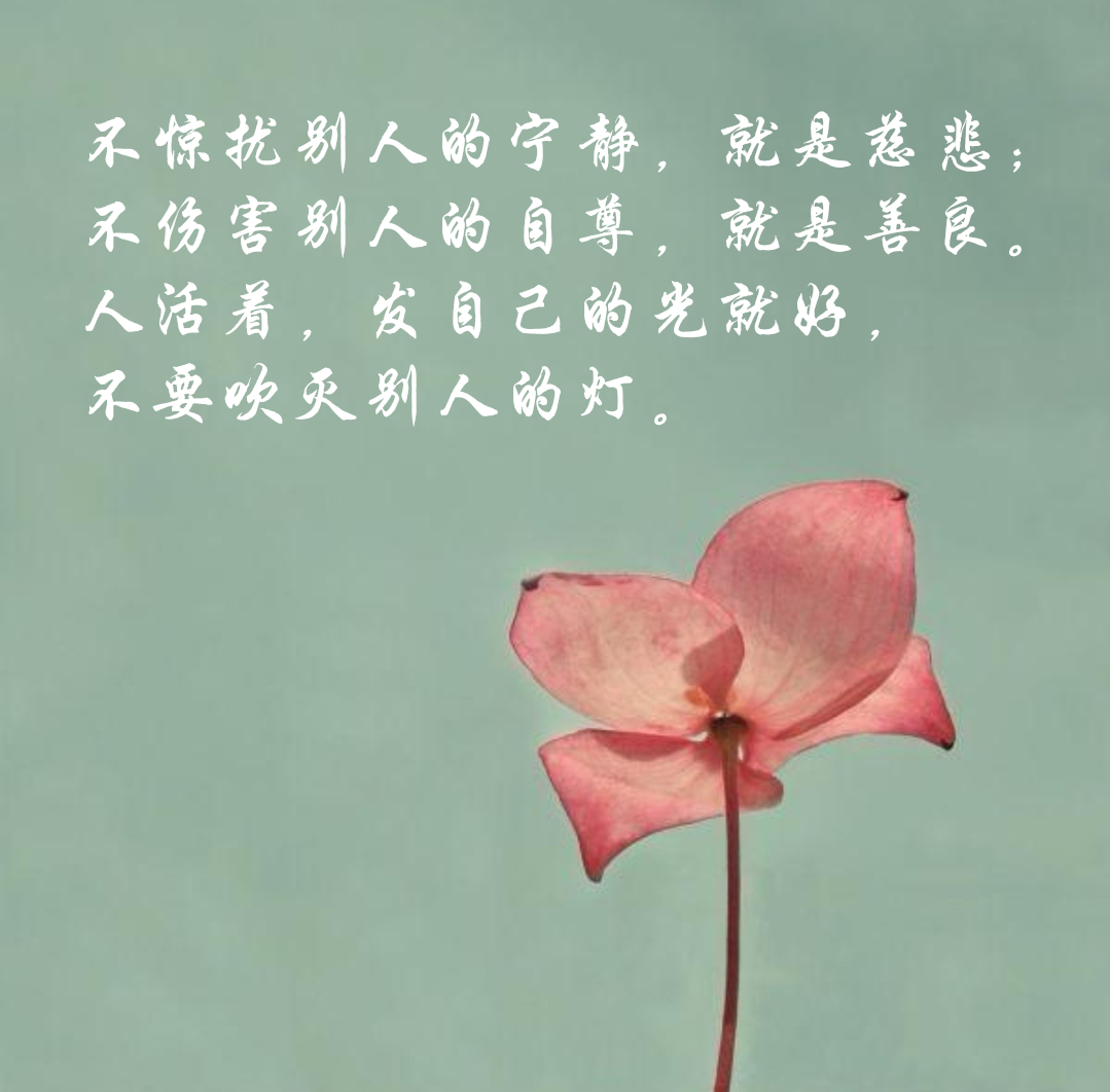 不惊扰别人的宁静,就是慈悲