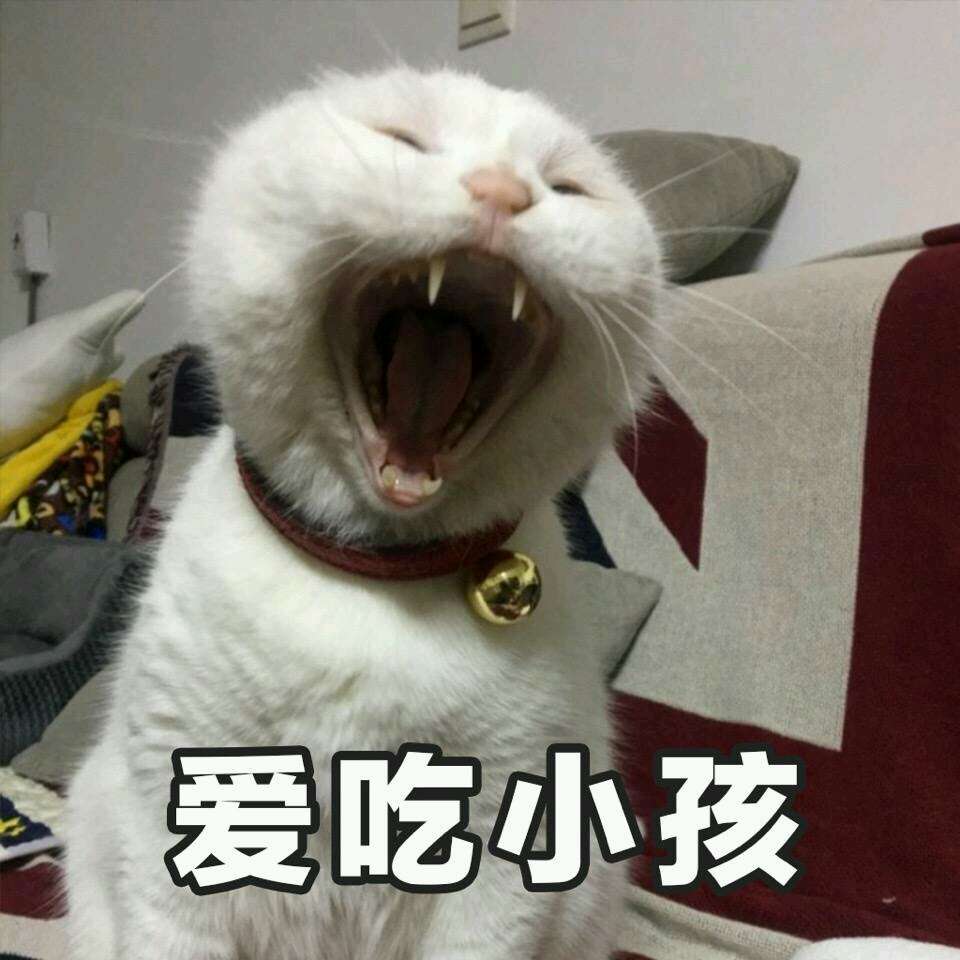 可爱猫咪表情包 聊天用