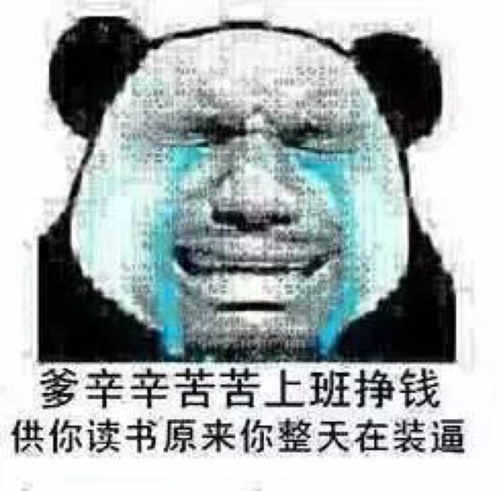 熊猫头表情包合集 蘑菇头 宠物 开车 斗图 表情