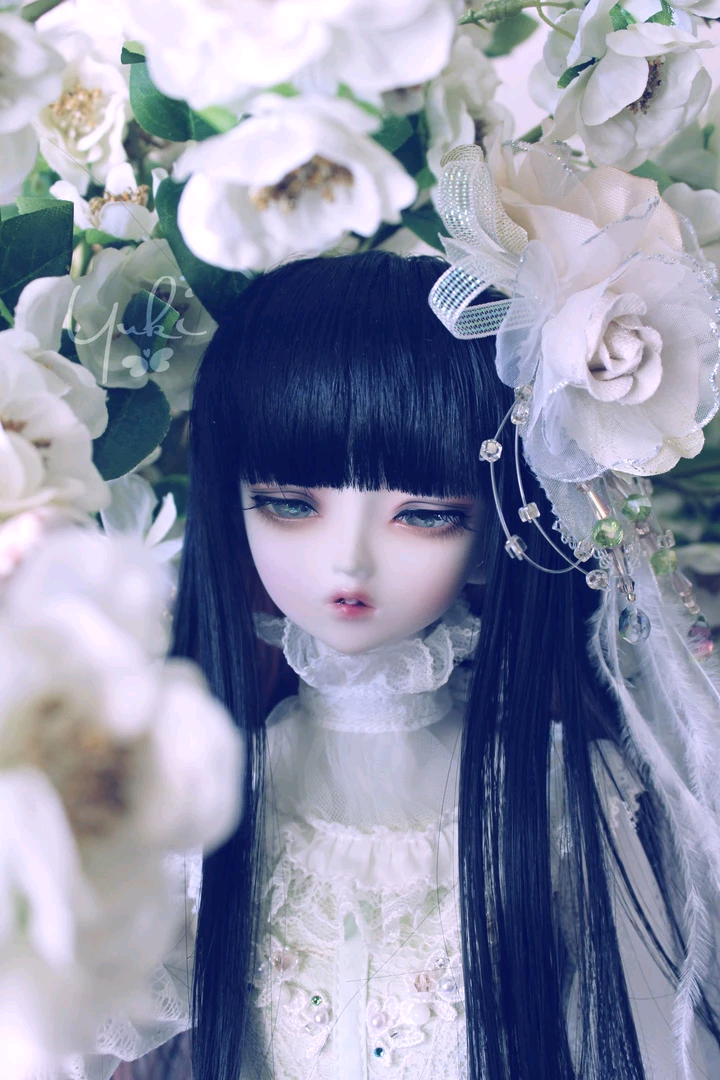 玩偶娃娃bjd