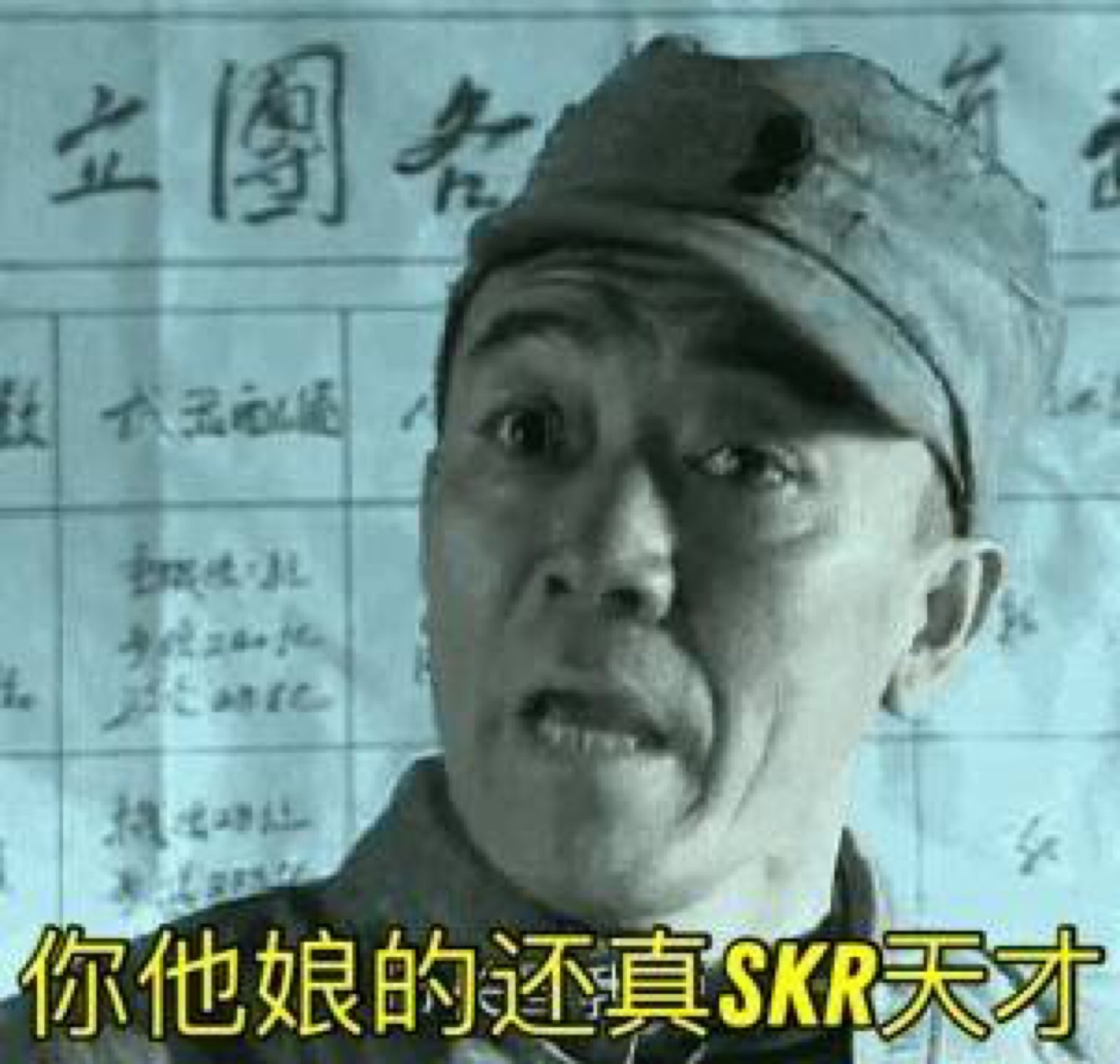 skr