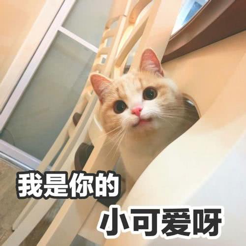 软绵绵 