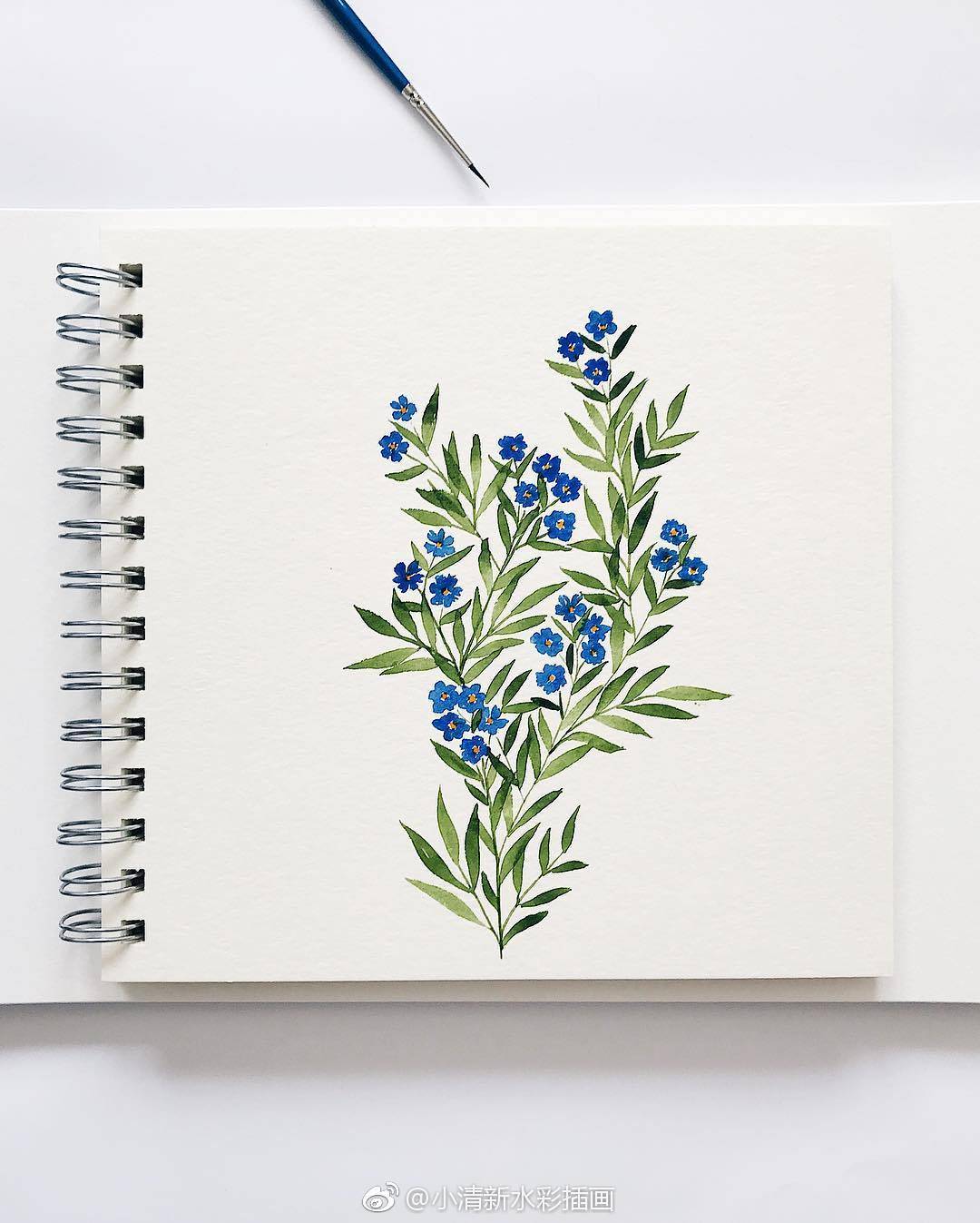 小清新水彩插画