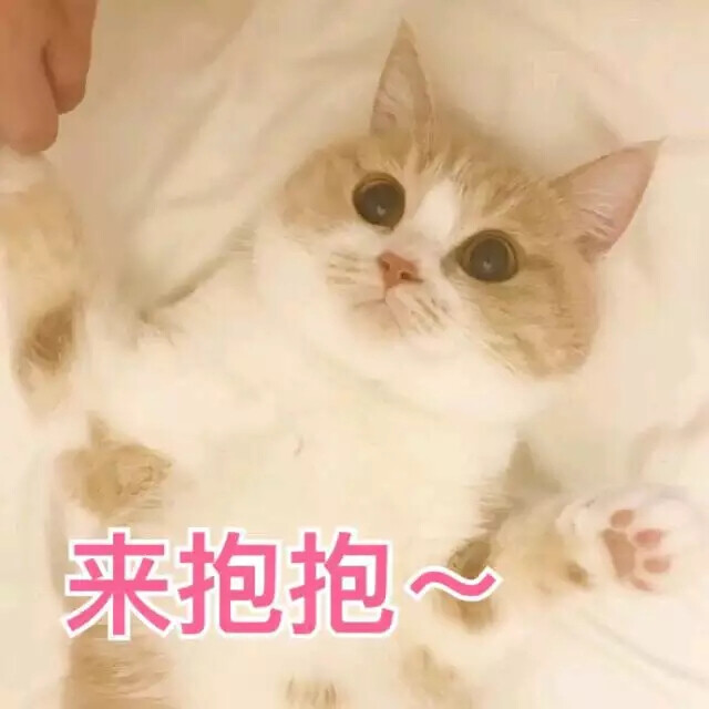 向你怀里钻 然后扬起头