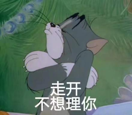 汤姆和杰瑞 表情包
