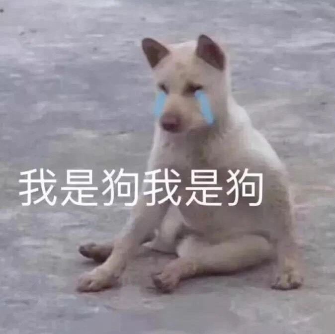 狗狗系列