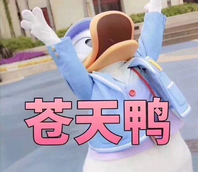 文字系列 厉害了 装逼大神 蛤蛤蛤 魔性 喵咪表情包 文字系列 搞笑