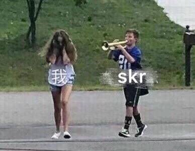 skr系列