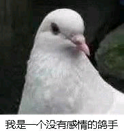 沙雕表情包/沙雕图/致命打击/打鸡/美术生/咕咕/放鸽子/gif/动图/抚摸