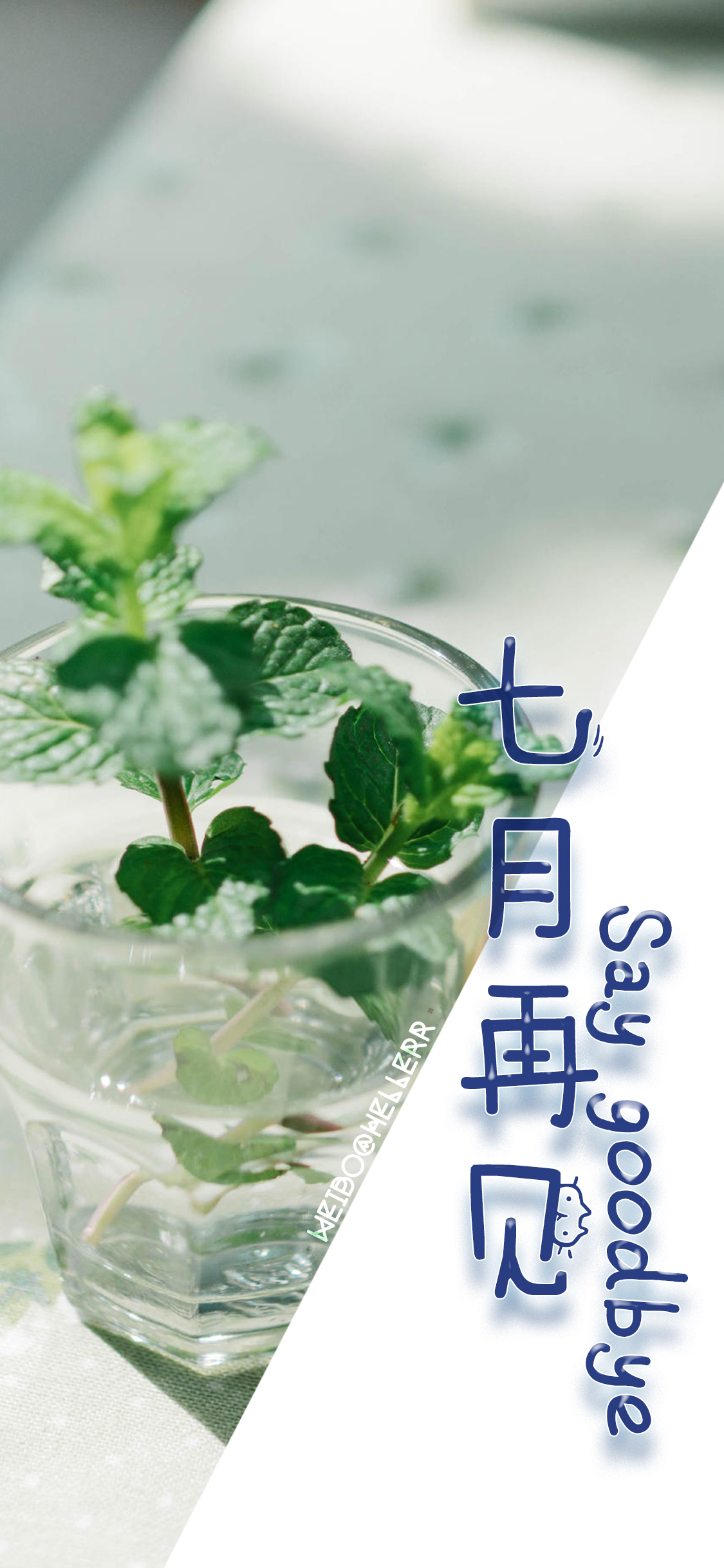 七月再见~【公众号进入慢更期.