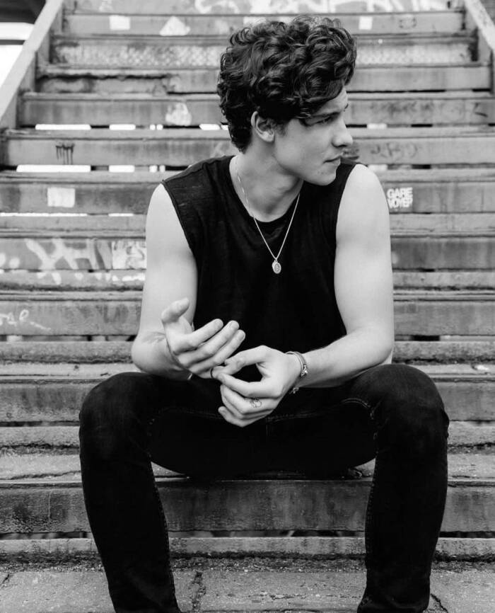 my shawnmendes