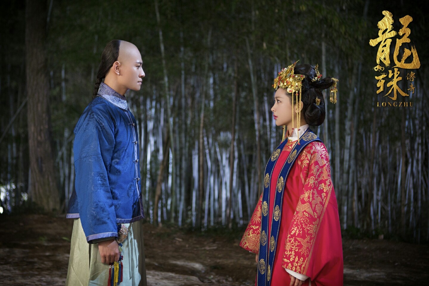 龙珠传奇 杨紫,秦俊杰,舒畅,斯琴高娃,茅子俊,韩承羽,刘学义,孙蔚
