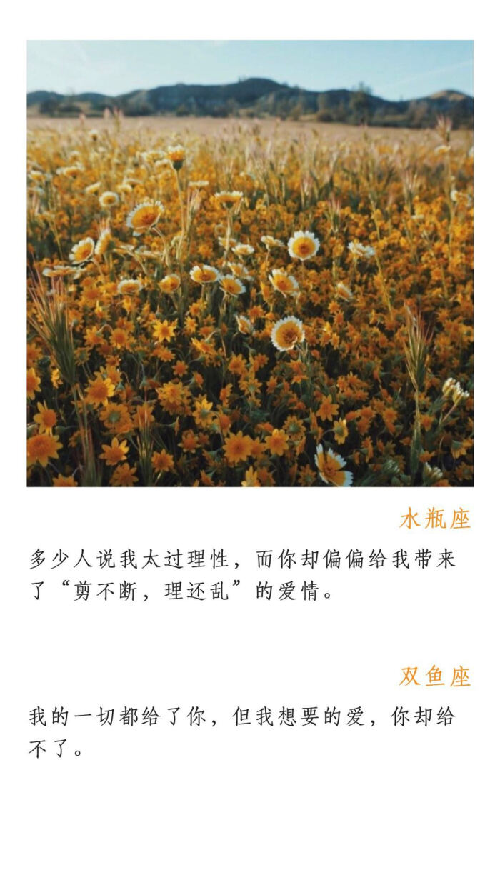 一句话形容12星座的爱情。如果爱,请善待。