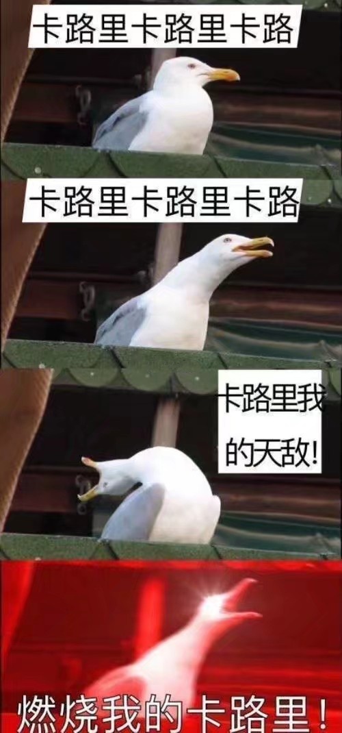 你好骚啊