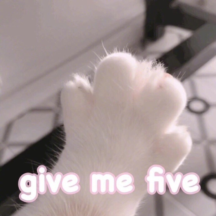 表情包【give me five】