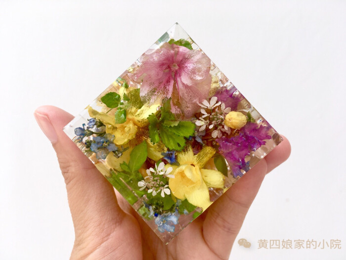 水晶滴胶植物标本立方体