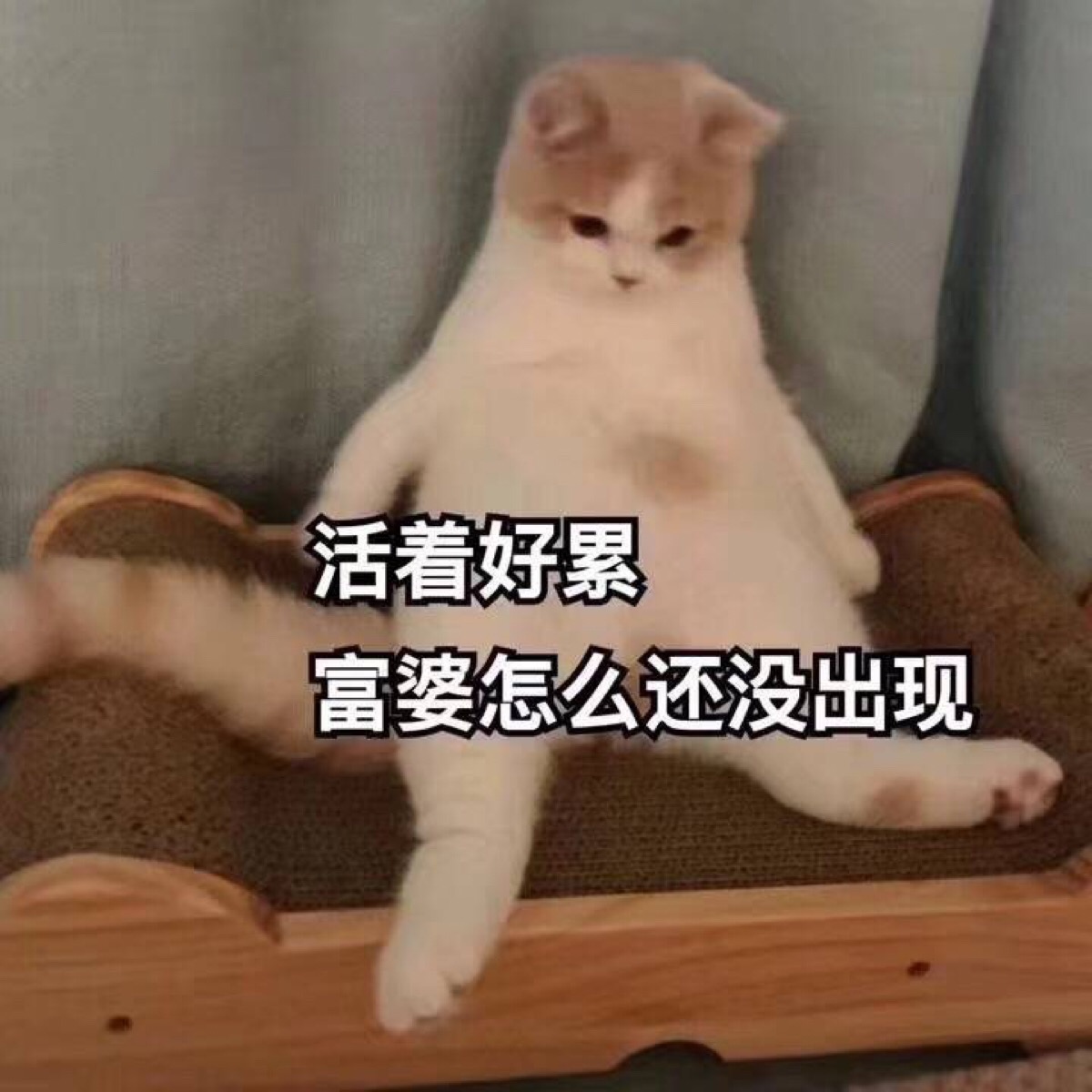 表情包 